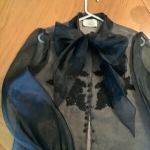 Vintage Sheer Silk and Lace Bow Tied Blouse sz12